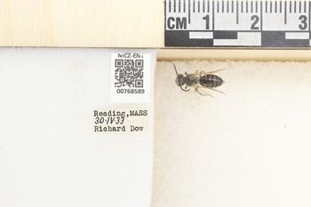 Media type: image;   Entomology 768589 Aspect: Labels